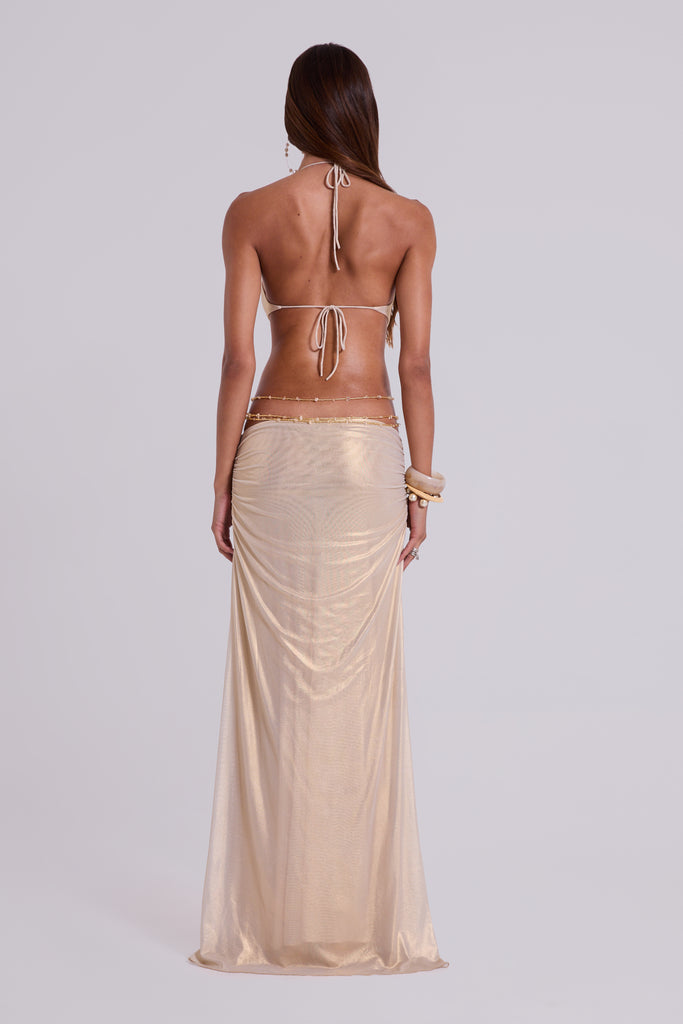 Vida Backless Maxi Dress in Gold