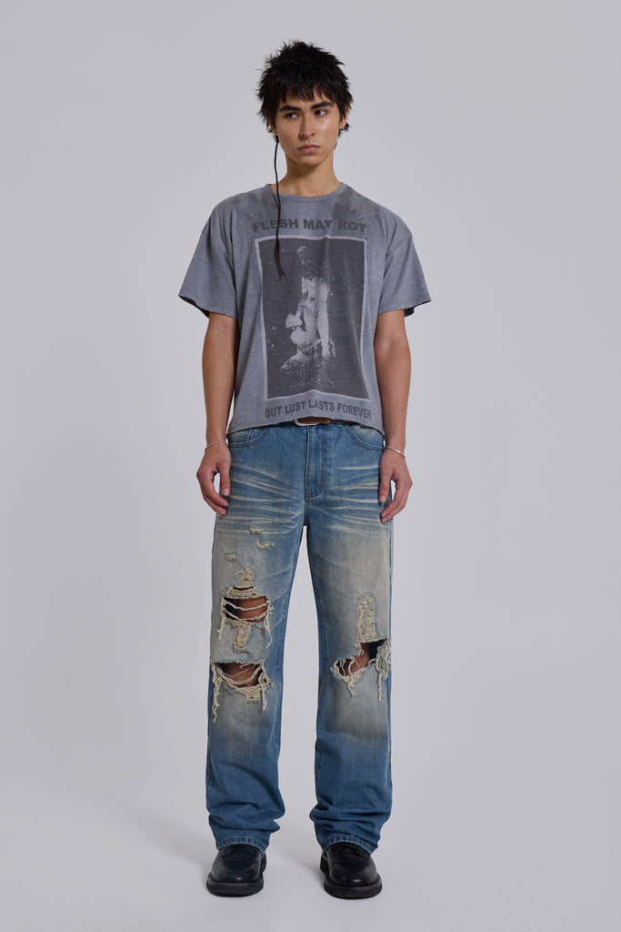 Distressed Muse Jeans