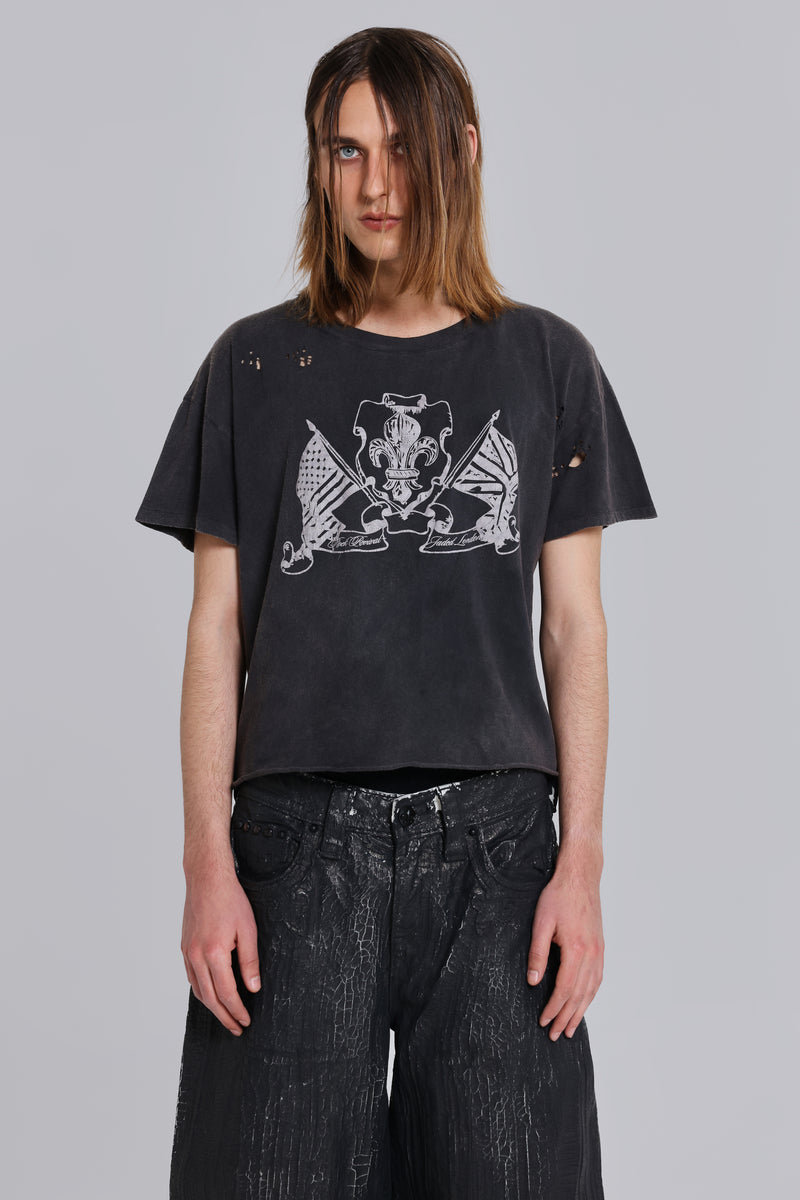 Rock Revival Distressed National Cropped T-Shirt