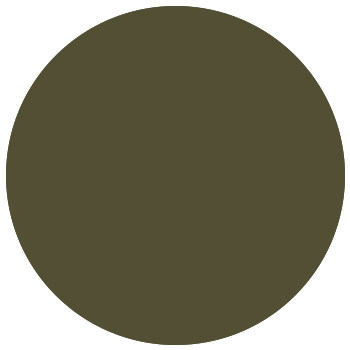 Faded Khaki Trooper Cargo Pants