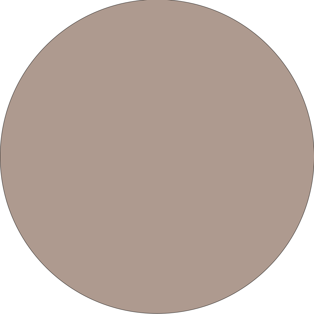 Rebel Military Jacket in Clay