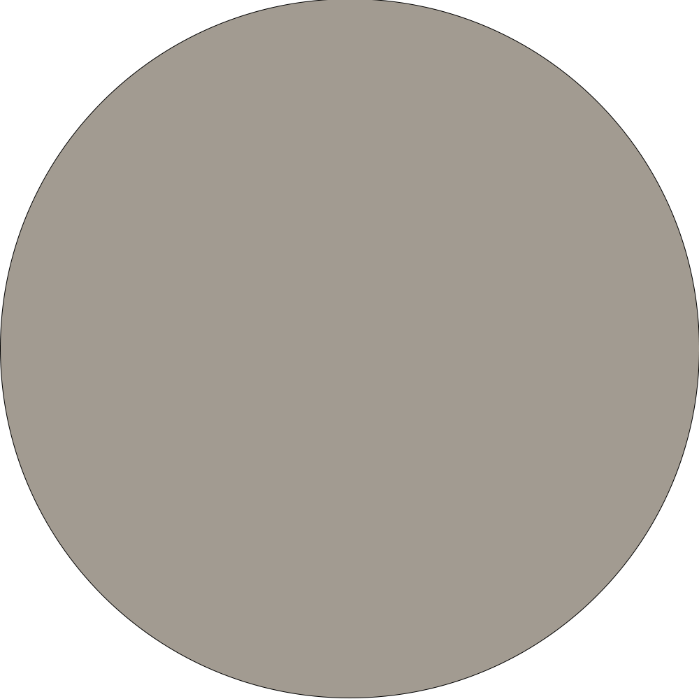 Light Wash Jumbo Jorts